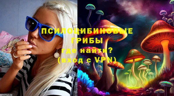 прущие грибы Абаза