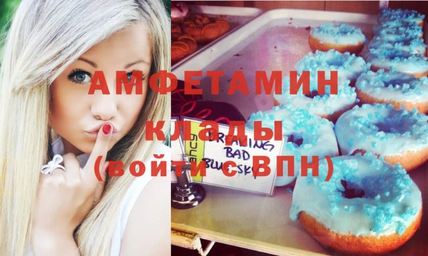 прущие грибы Абаза