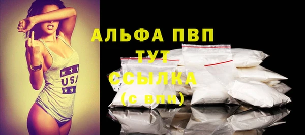 прущие грибы Абаза