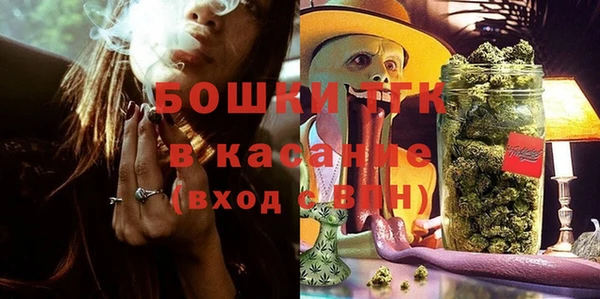 прущие грибы Абаза
