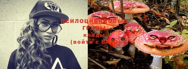 2c-b Абинск