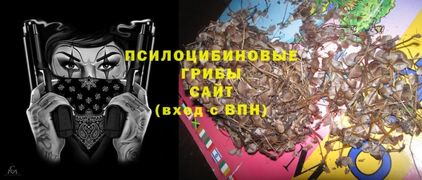 крисы Абдулино