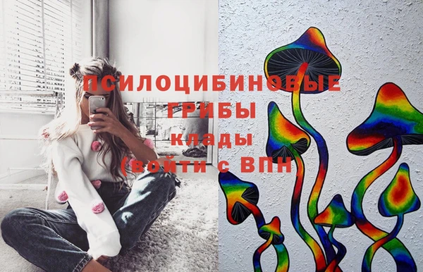 2c-b Абинск