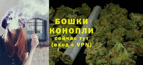прущие грибы Абаза