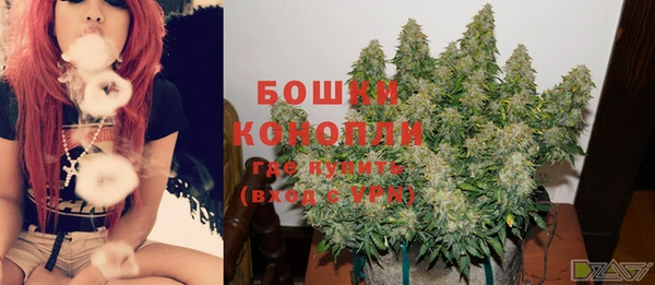 прущие грибы Абаза
