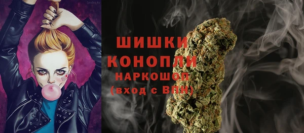 дмт Рославль