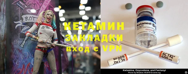 прущие грибы Алексин