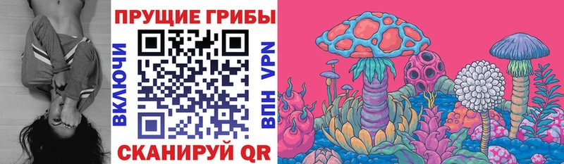 Псилоцибиновые грибы Psilocybine cubensis  Лиски 